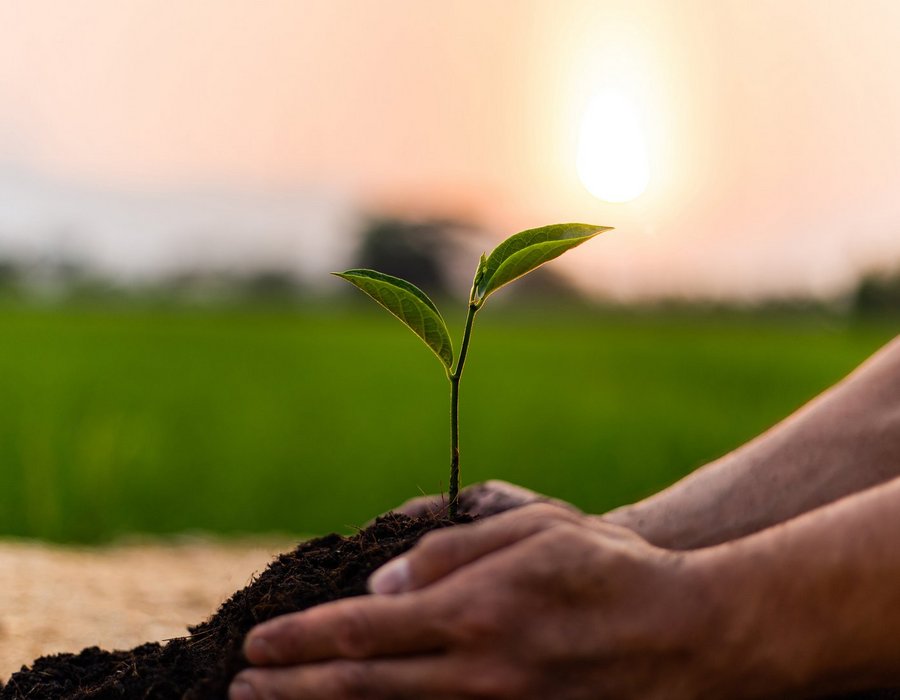 Environmental Risk Assessment (ERA) bei der Arzneimittelzulassung
