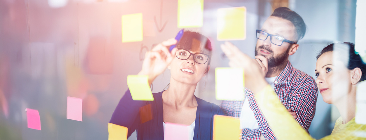 25126097 e-Learning: Hybrides Projektmanagement