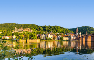 Fachtagung - Heidelberger PAFA-FORUM